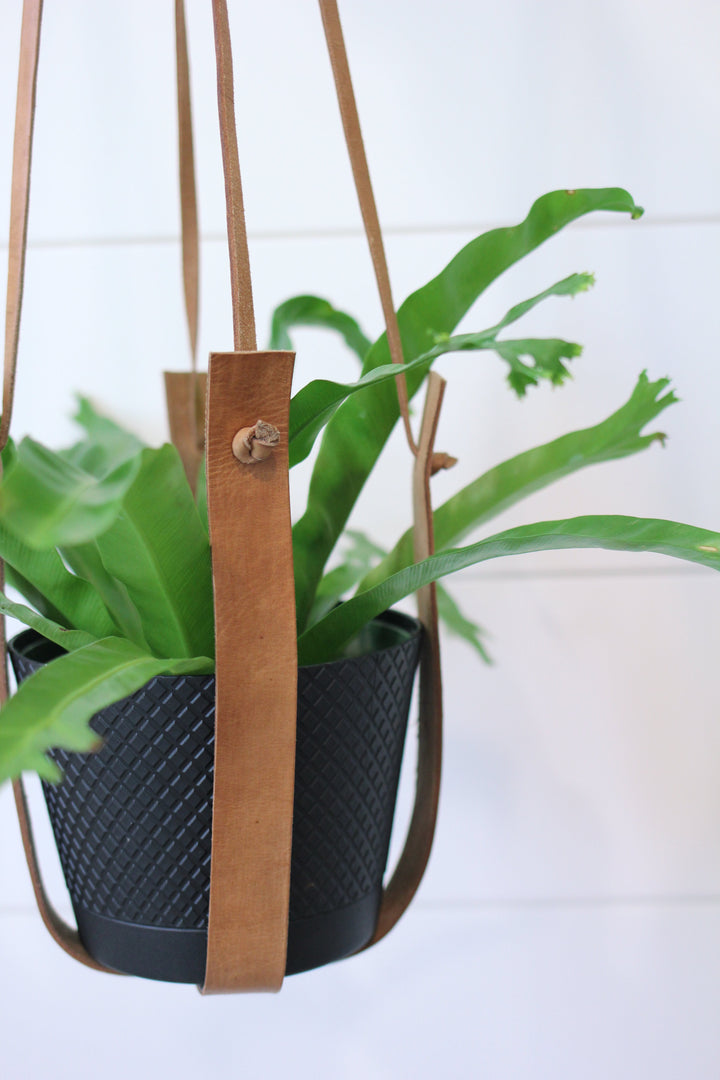 Large Flourish Leather Plant Hanger