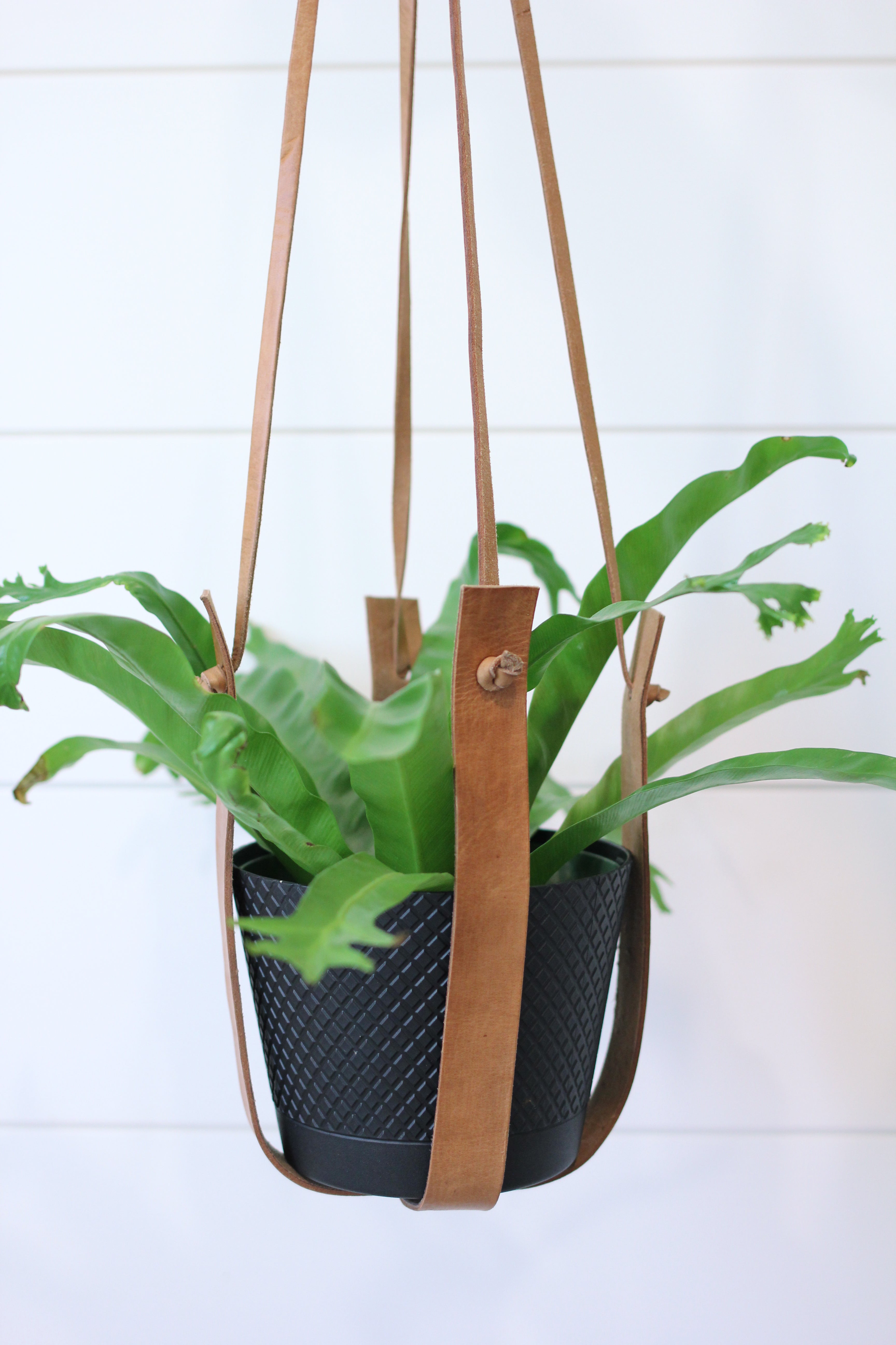 Large Flourish Leather Plant Hanger