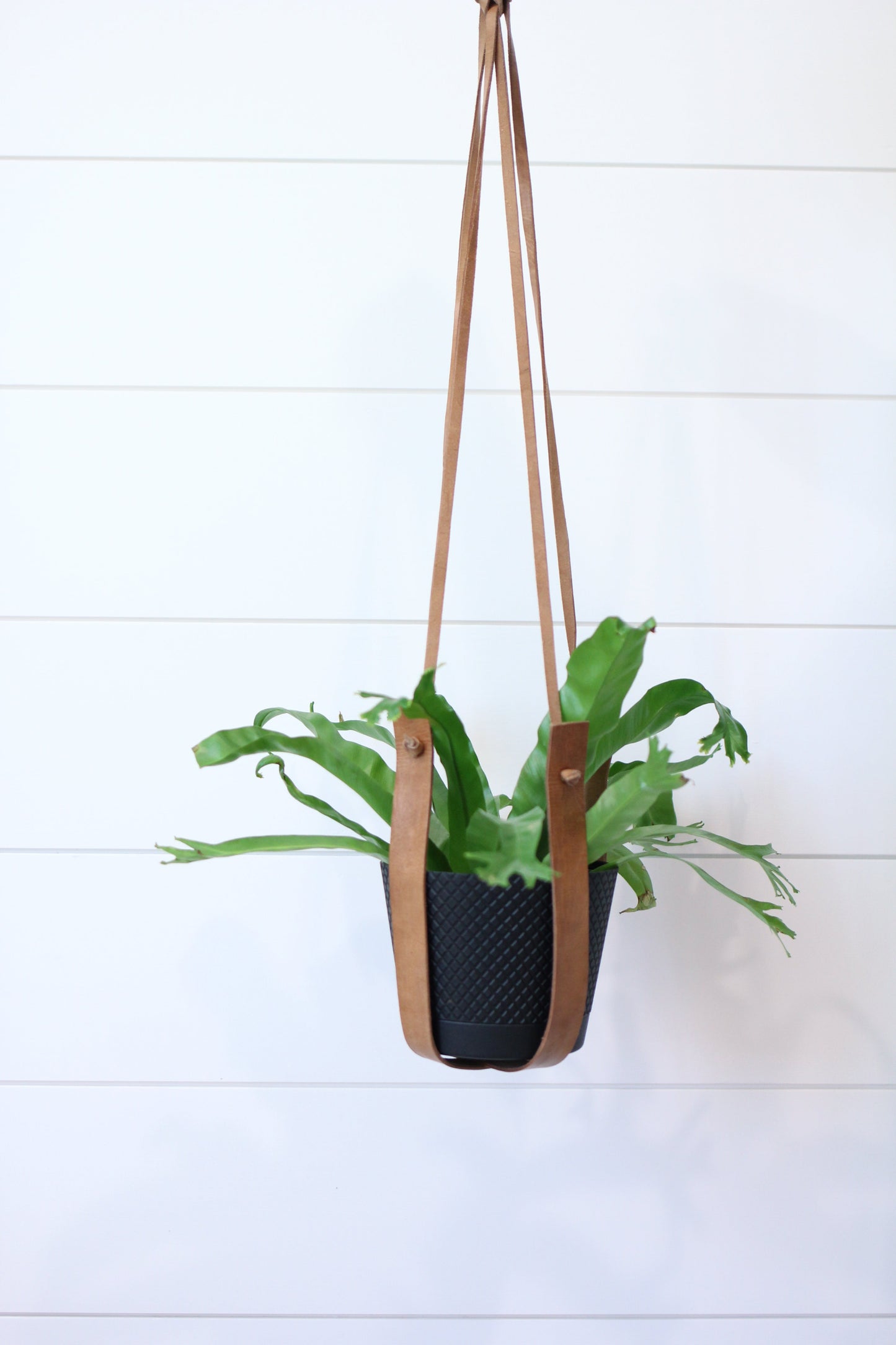 Large Flourish Leather Plant Hanger