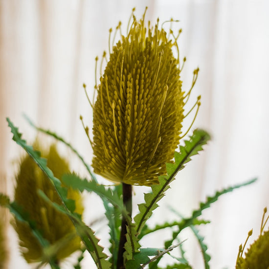 Faux Banksia Integrifolia Faux Flower 28" Tall Silk