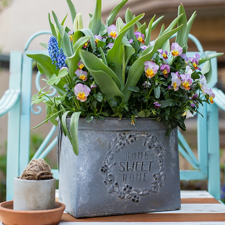 Iron Carry Flowerpot Gray Sweet Home