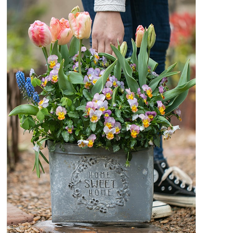 Iron Carry Flowerpot Gray Sweet Home