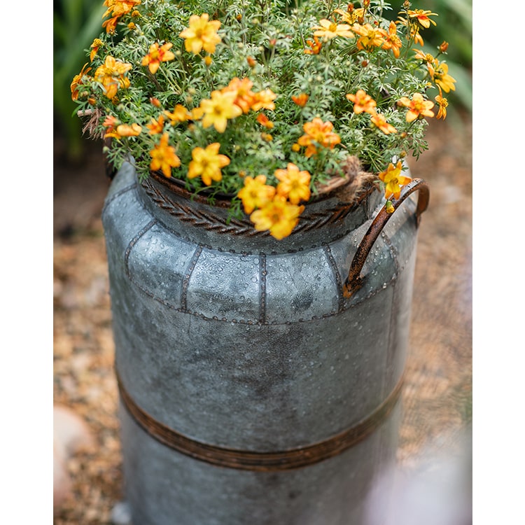 Restoration Flowerpot Gray Brown Round Metal