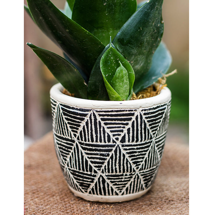 Geometric Art Concrete Flowerpot