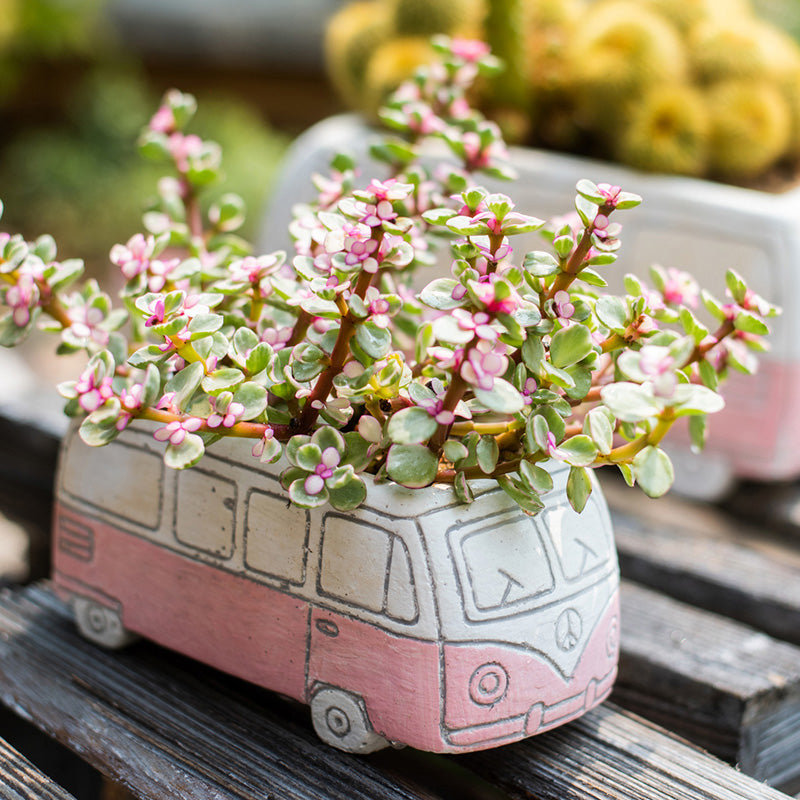 Desktop Bus Planter