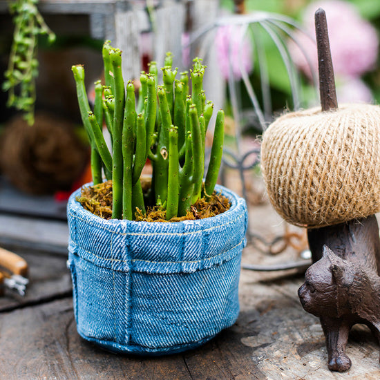 Pants for Plants Blue Jeans Cement Flowerpot