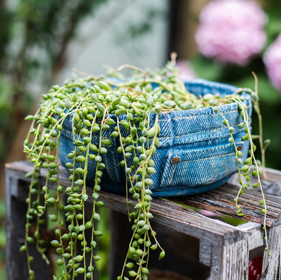 Pants for Plants Blue Jeans Cement Flowerpot