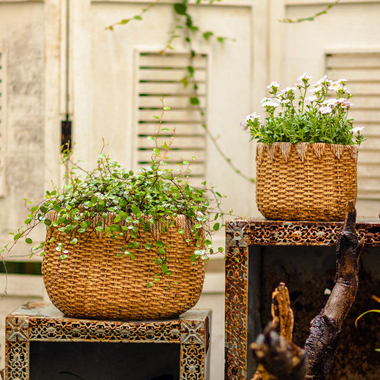 Lady Straw Basket Cement Planter