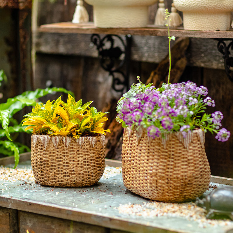 Lady Straw Basket Cement Planter