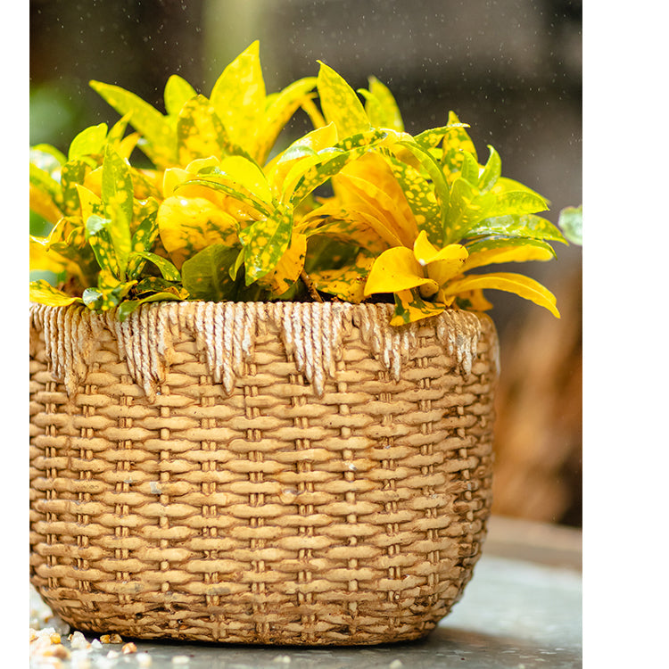 Lady Straw Basket Cement Planter