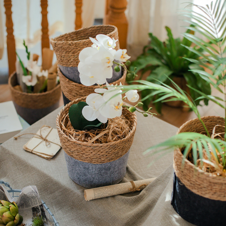 Modern Straw Gray Basket Organizer