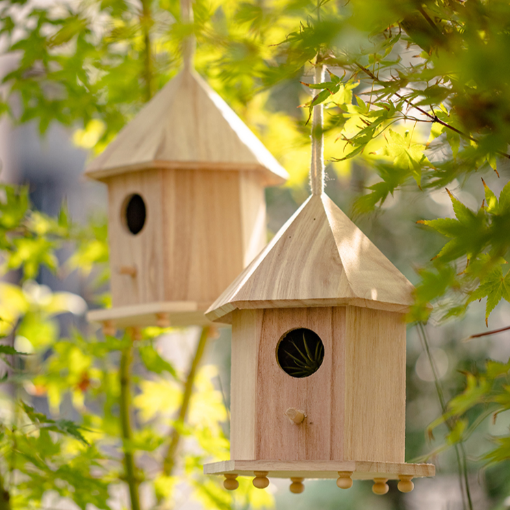 Bird Houses & Feeders