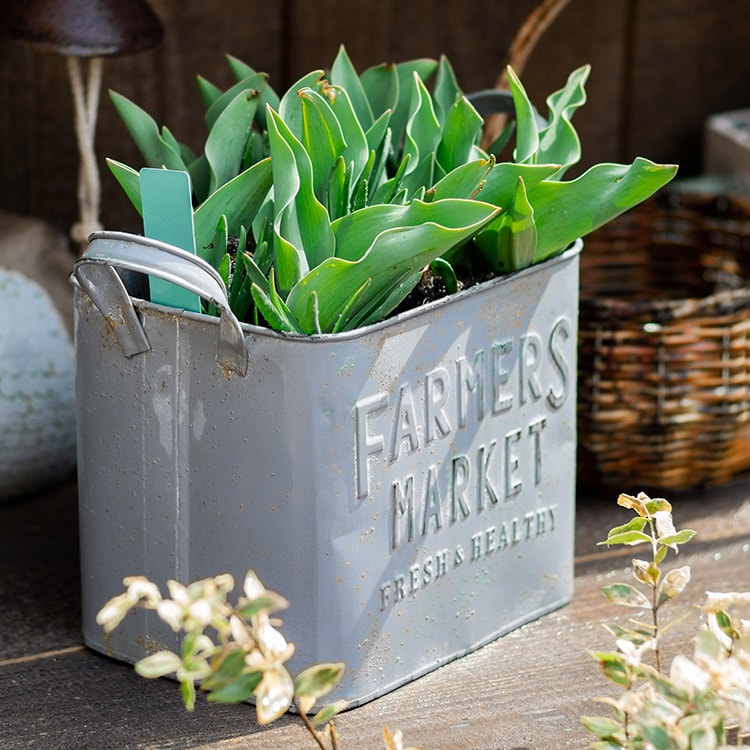 Rectangular Flowerpot Gray Farmers Market