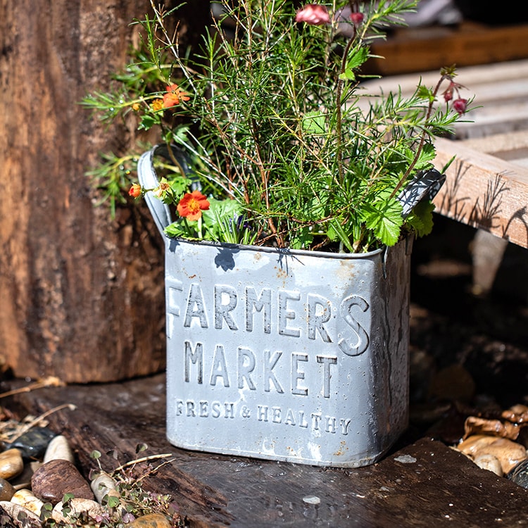 Rectangular Flowerpot Gray Farmers Market