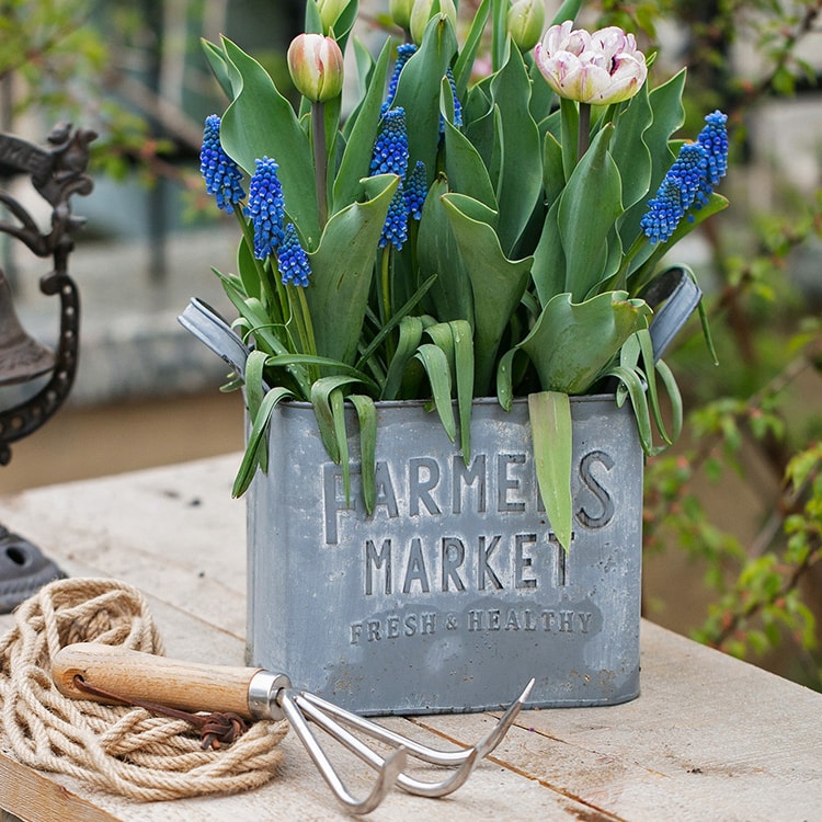 Rectangular Flowerpot Gray Farmers Market