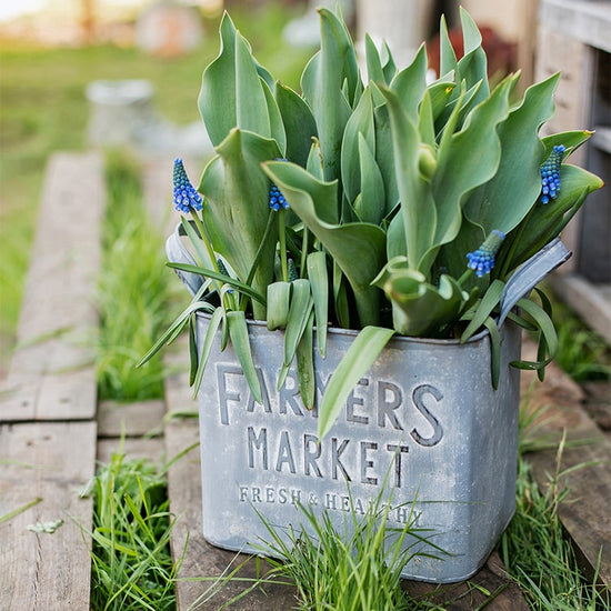 Rectangular Flowerpot Gray Farmers Market