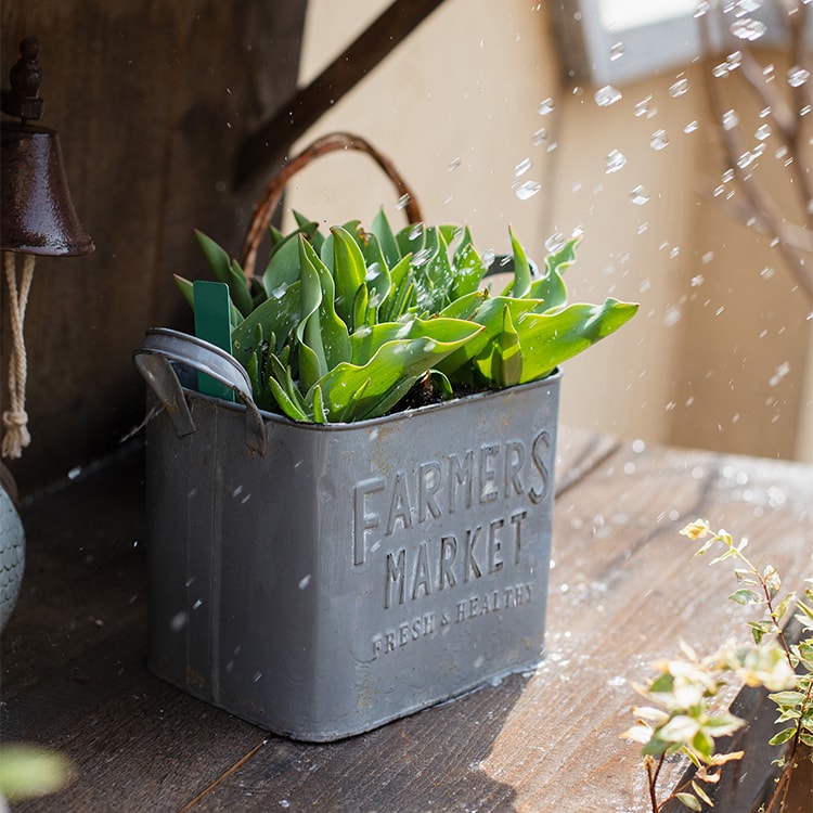 Rectangular Flowerpot Gray Farmers Market