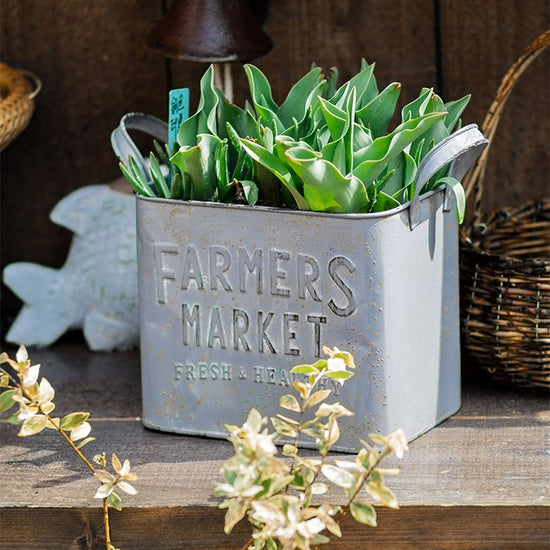 Rectangular Flowerpot Gray Farmers Market