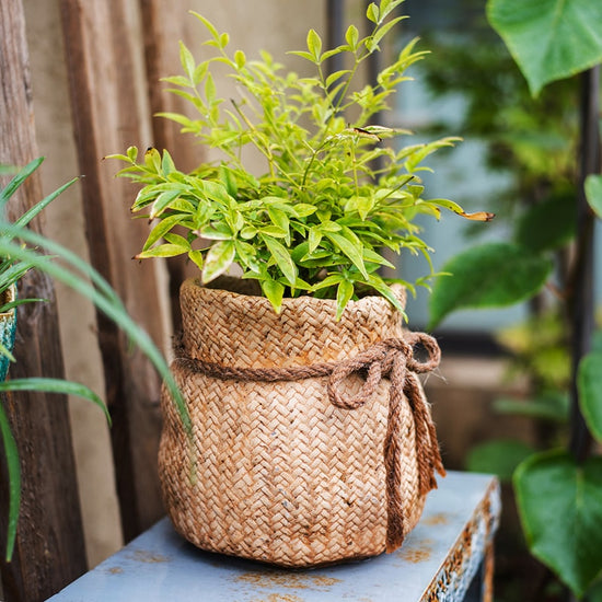 Ribbon Bag Style Concrete Garden Pot