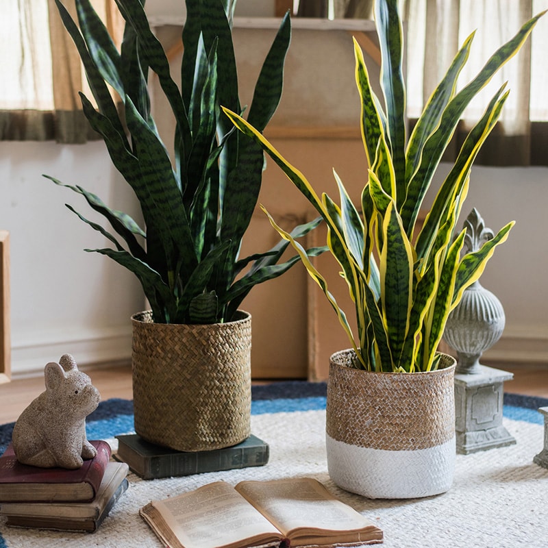 Natural Straw Basket in Different Colors