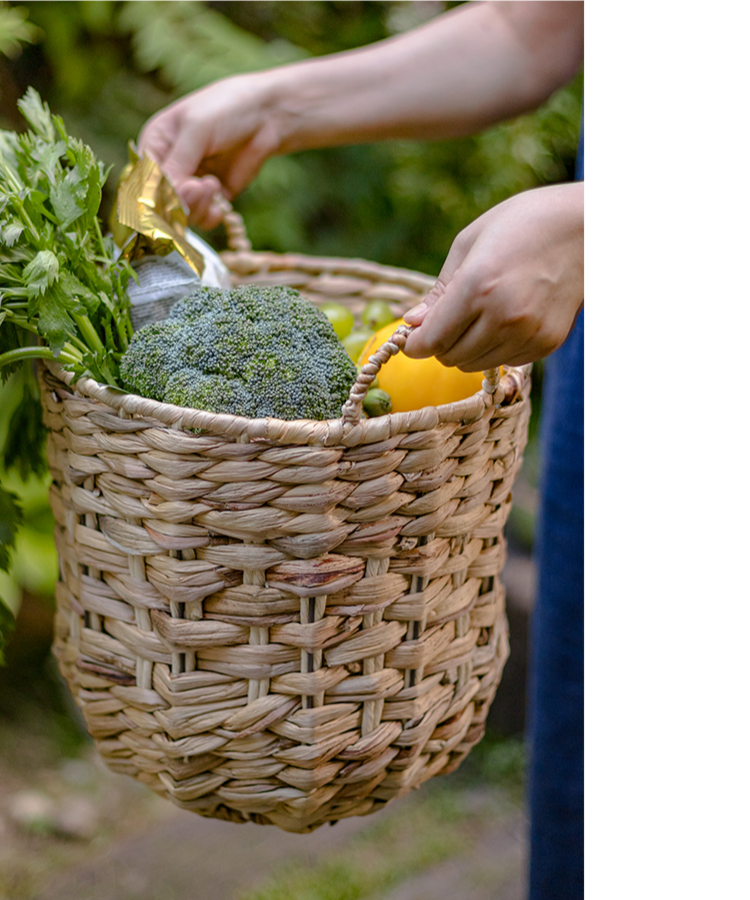 Natural Straw Round Basket with Handles