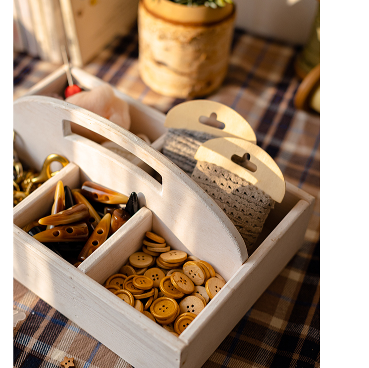 Wooden Desktop Organizer Succulent Planter