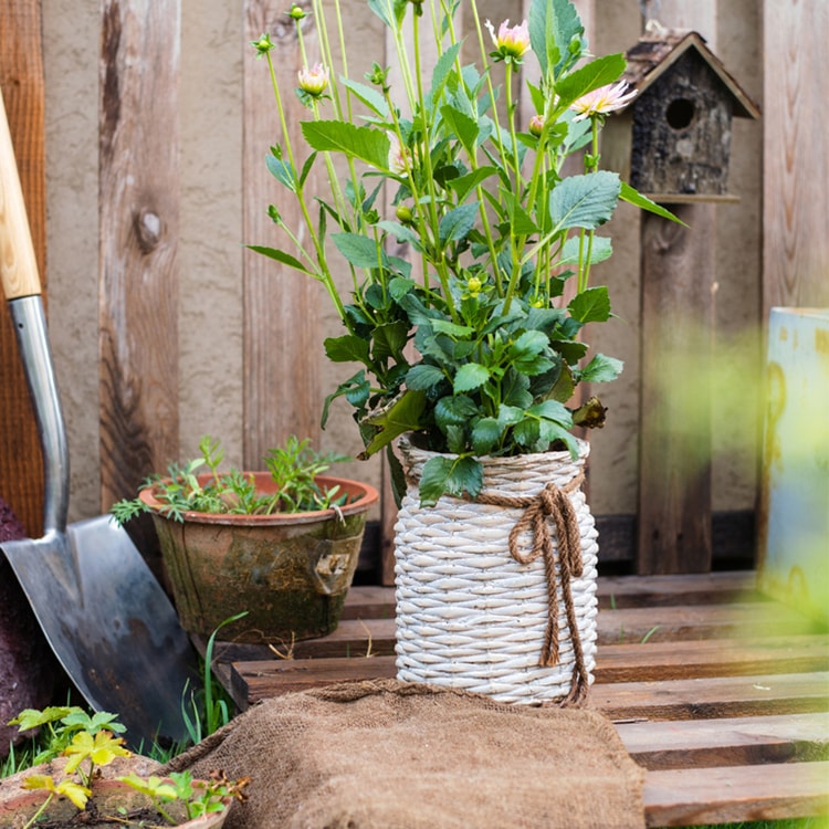 Willow Style Ribbon Concrete Flowerpot