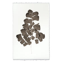 Load image into Gallery viewer, Leaf Study #2
