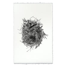 Load image into Gallery viewer, Nest Study #13
