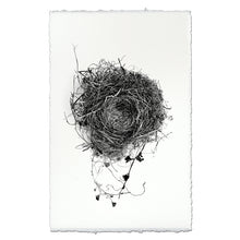 Load image into Gallery viewer, Nest Study #3
