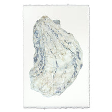 Load image into Gallery viewer, Oyster Study #15
