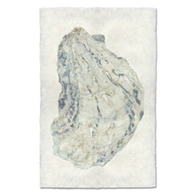 Load image into Gallery viewer, Oyster Study #15
