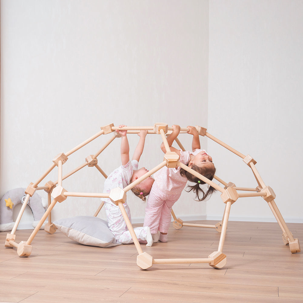 Wooden Climbing Dome