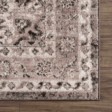 Load image into Gallery viewer, Albie Charcoal &amp; Beige Area Rug
