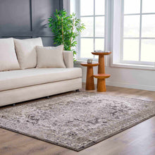 Load image into Gallery viewer, Albie Charcoal &amp; Beige Area Rug
