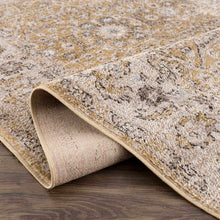 Load image into Gallery viewer, Anana Gold &amp; Beige Area Rug
