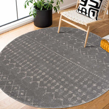 Load image into Gallery viewer, Tigrican Light Gray Area Rug
