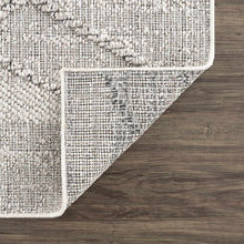 Load image into Gallery viewer, Baqer Bone &amp; Taupe Area Rug
