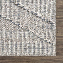 Load image into Gallery viewer, Baqer Taupe &amp; Gray Area Rug
