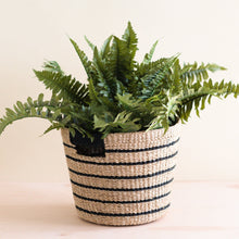 Load image into Gallery viewer, Black and Natural Striped Tapered Basket

