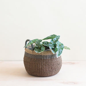 Brown Rounded Basket with Handles