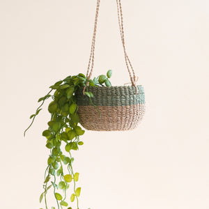 Natural and Sage Hanging Planter