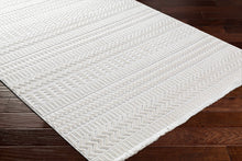 Load image into Gallery viewer, Cira Ivory Textured Area Rug with Fringes
