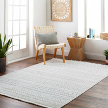 Load image into Gallery viewer, Cira Ivory Textured Area Rug with Fringes
