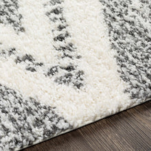 Load image into Gallery viewer, Trunding Plush Area Rug
