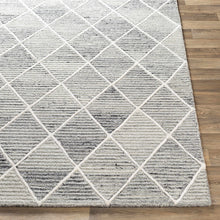 Load image into Gallery viewer, Stratham Area Rug

