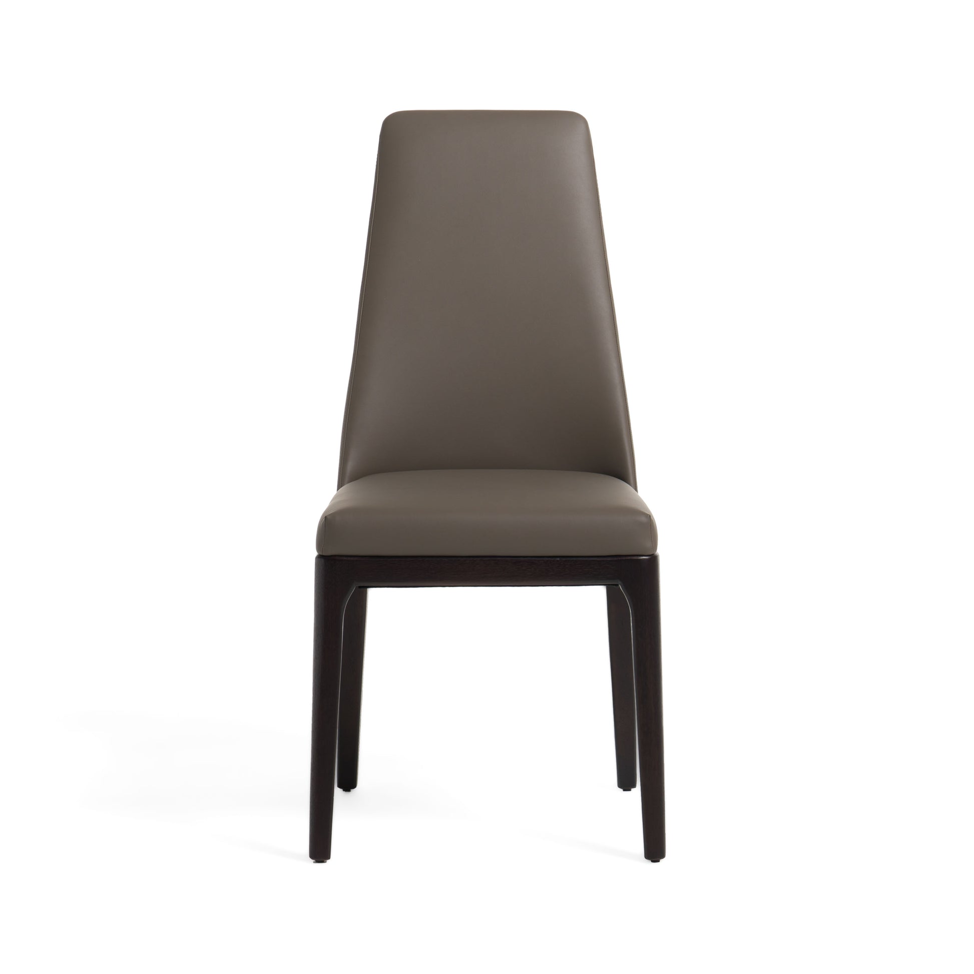 Modrest Encino - Modern Grey & Timber Chocolate Dining Chair (Set of 2)