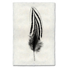 Load image into Gallery viewer, Feather Study #2 (Silver Pheasant)
