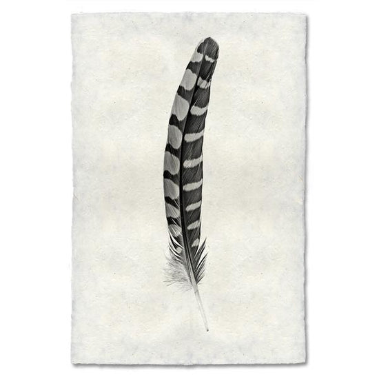 Feather Study #12 (Partridge Wing)