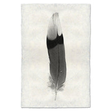 Load image into Gallery viewer, Feather Study #9 (Jay)
